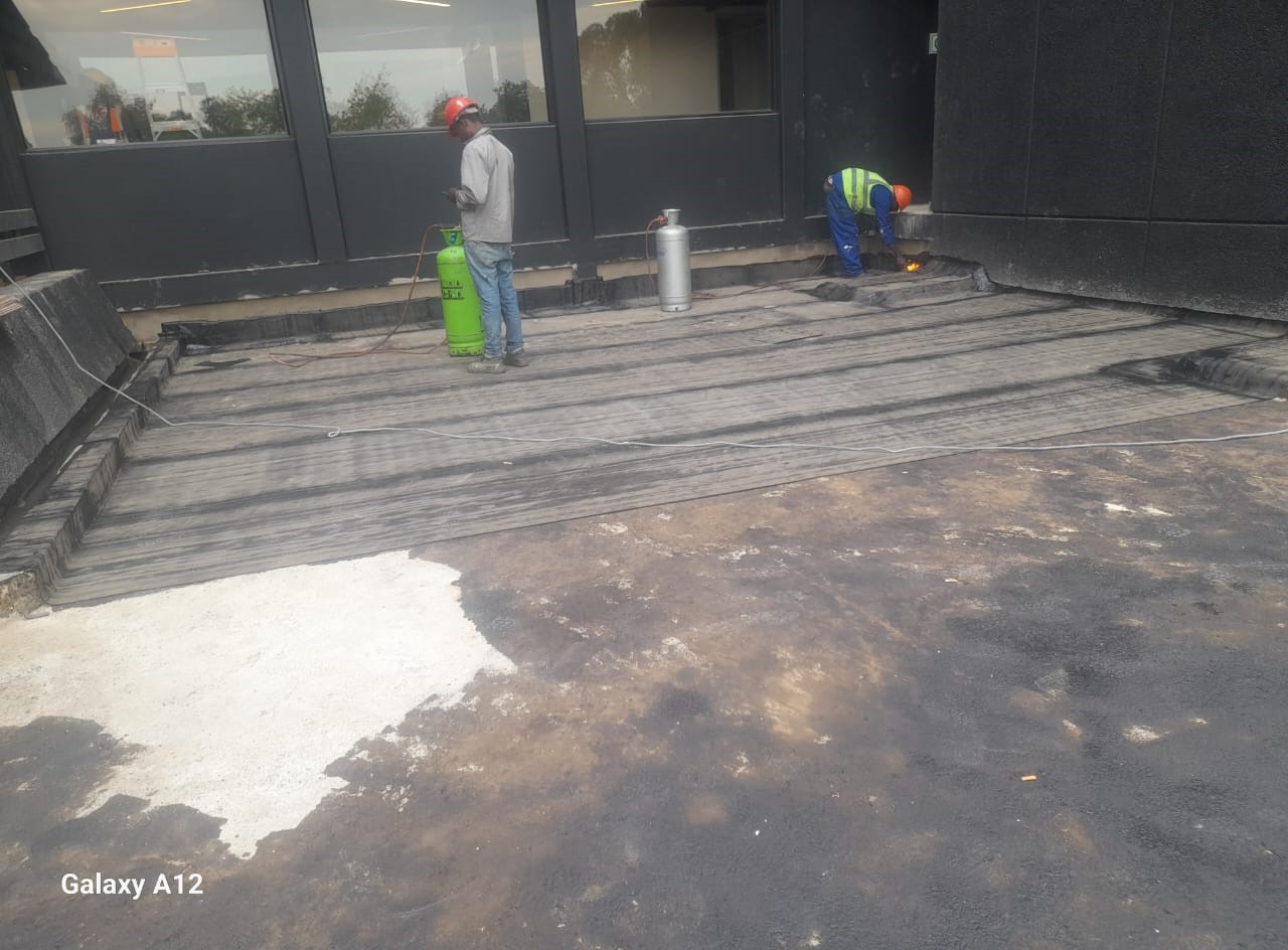 50d7b8f4-262d-4b4f-a85c-ae12551c0365