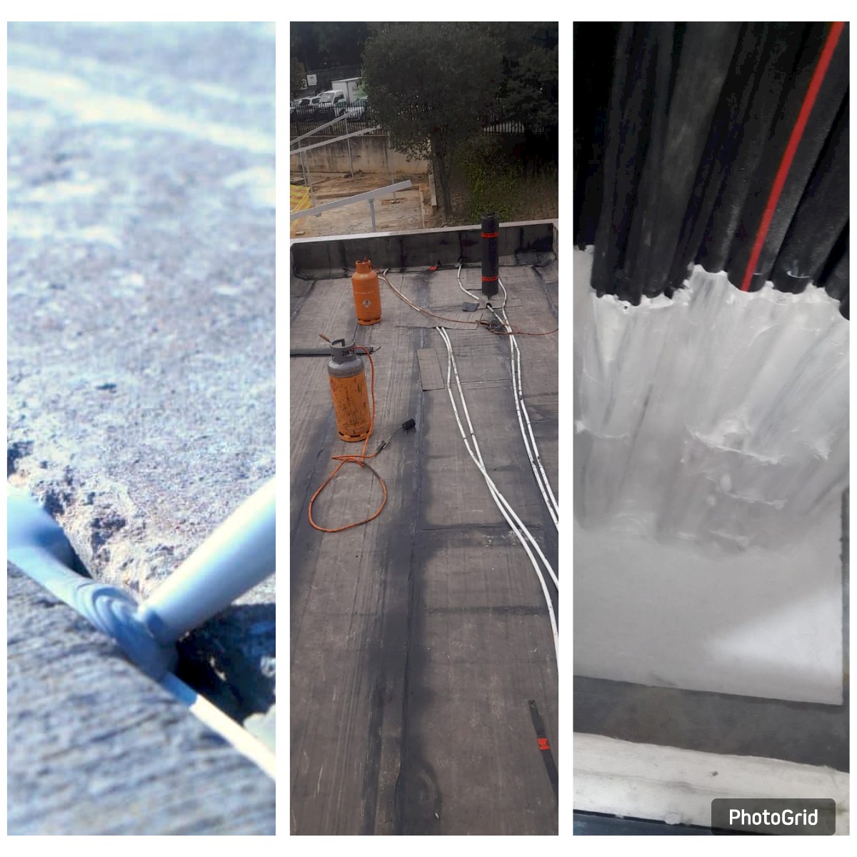 Web_Photo_Editor (1)